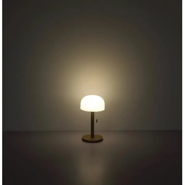 Lampă LED de masă Globo 21016CH NORMAN LED/1,5W/3,7V 3000/4200/6000K maro