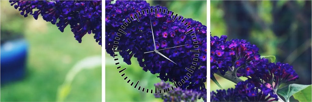 Tablou cu floare albastră (cu ceas) (90x30 cm)