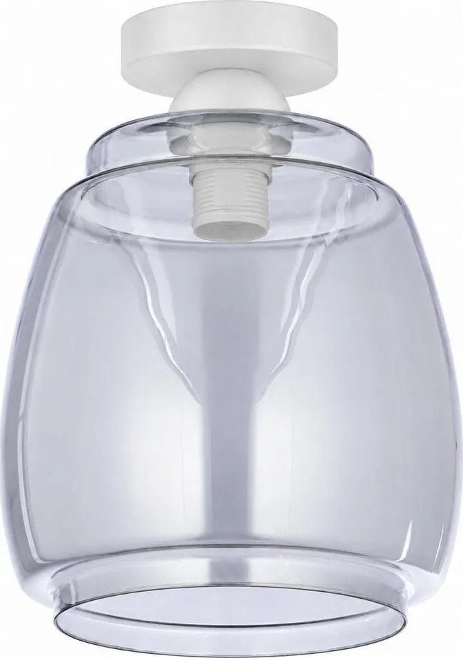BRILAGI - Plafonieră LED R GLASS 1xE27/60W/230V diam. 26 cm alb/gri fumuriu