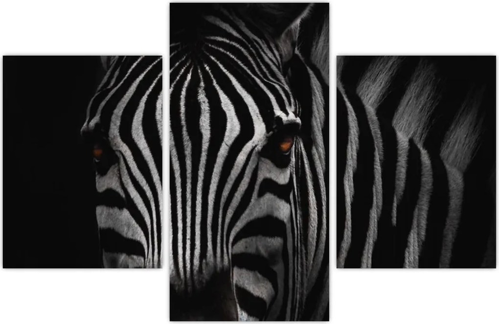 Tablou cu zebră (90x60 cm)