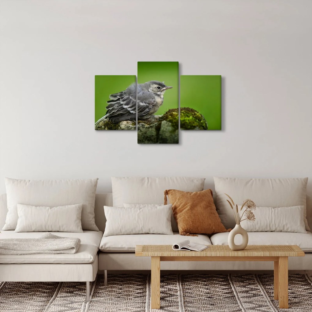 Tablou - Muscarul (90x60 cm)