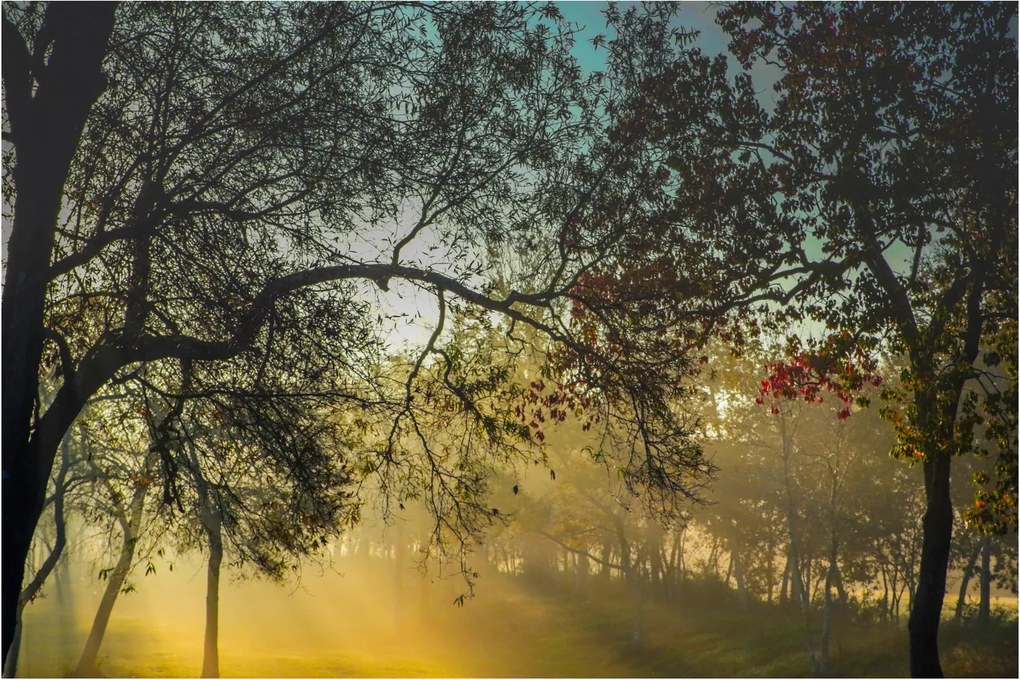 Tablou cu răsărit de soare (90x60 cm)