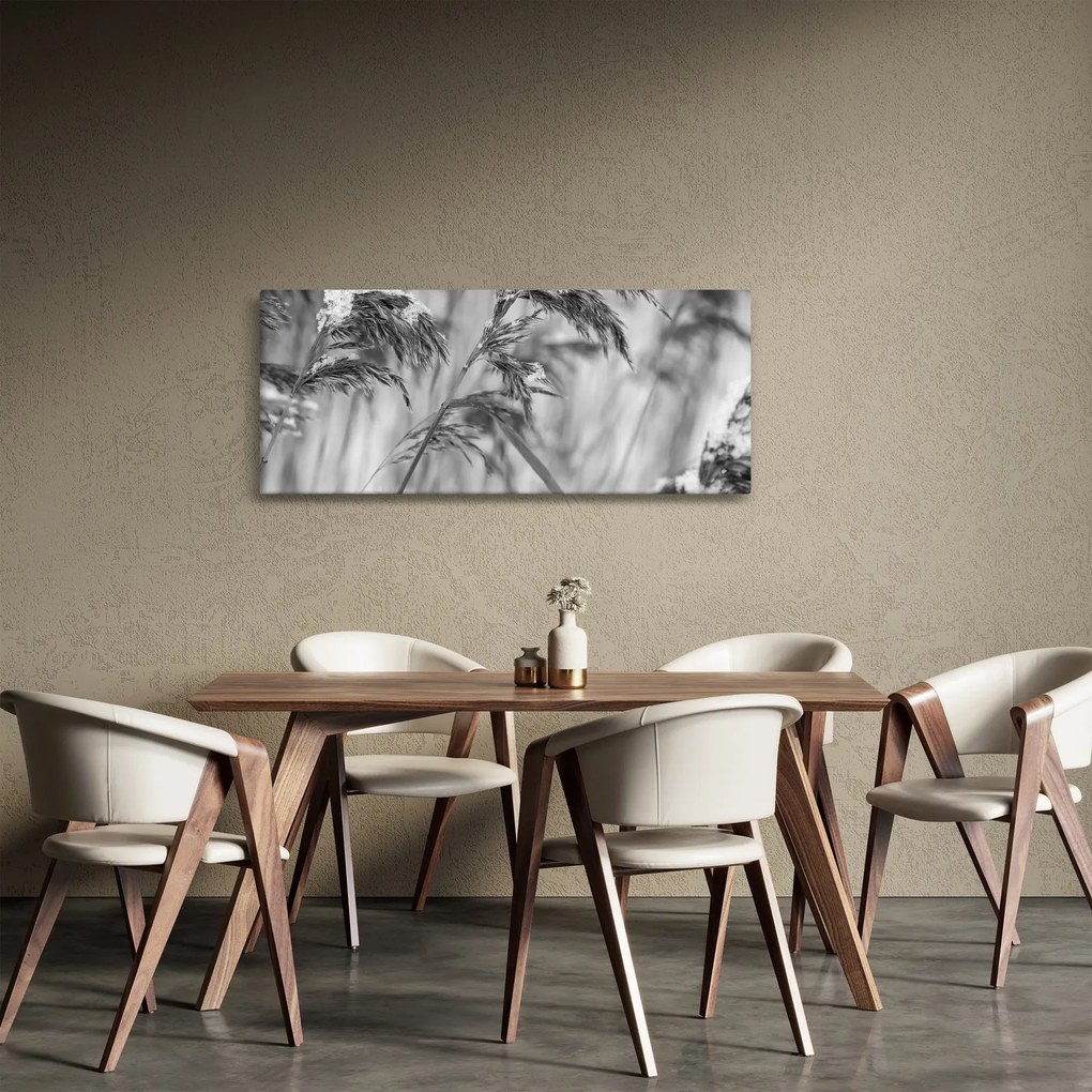 Tablou - Tei,alb-negru (120x50 cm)