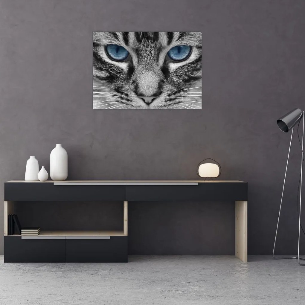 Tablou cu pisica (70x50 cm)