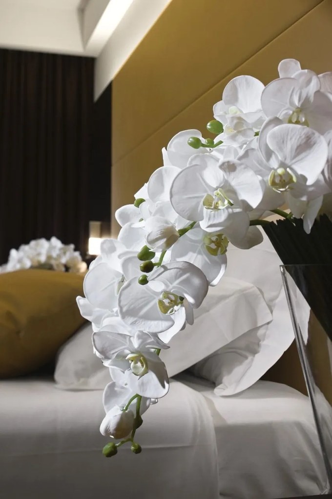 Aranjament floral elegant PHALENO CASCADE 1140969.95