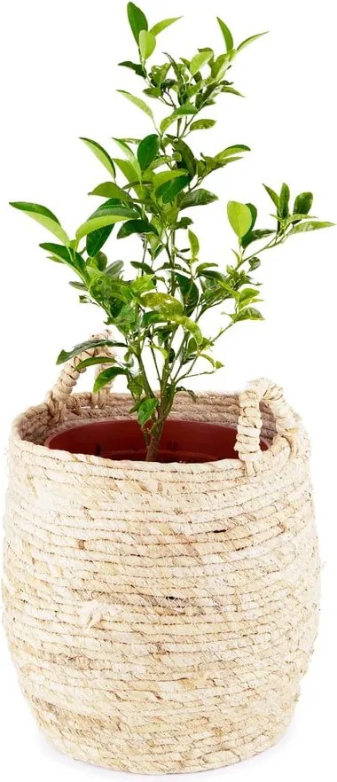 Coș de depozitare Compactor Lhassa, ø 30 cm