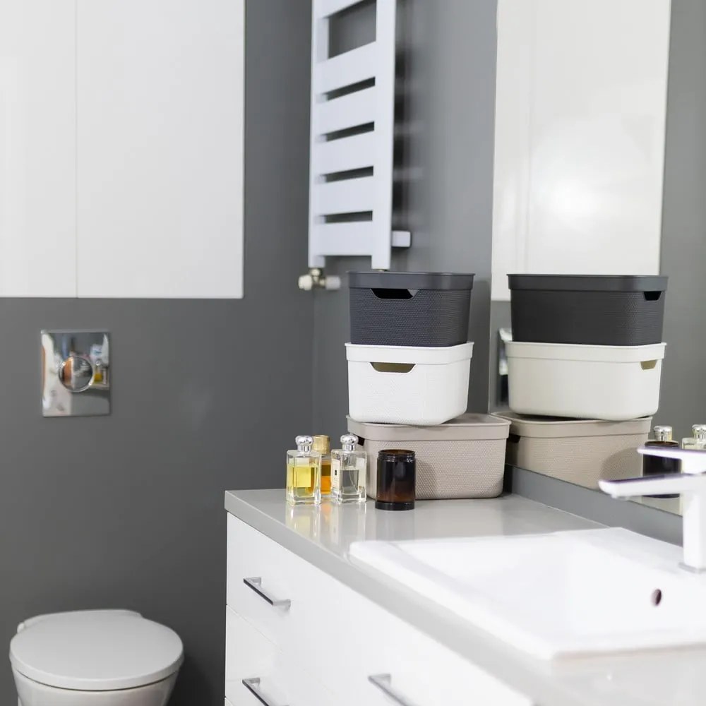 Cutie de depozitare din plastic cu capac Deco - Rotho