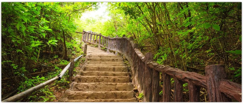 Tablou - Scări în natură (120x50 cm)
