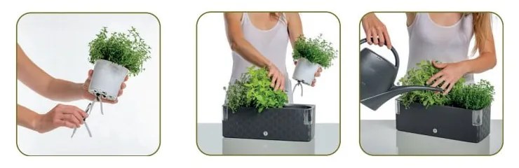 Ghiveci cu sistem auto-udare Flower Lover Cobble, lungime 40 cm