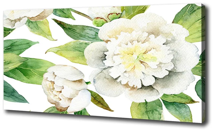 Tablou pe pânză canvas Bujori