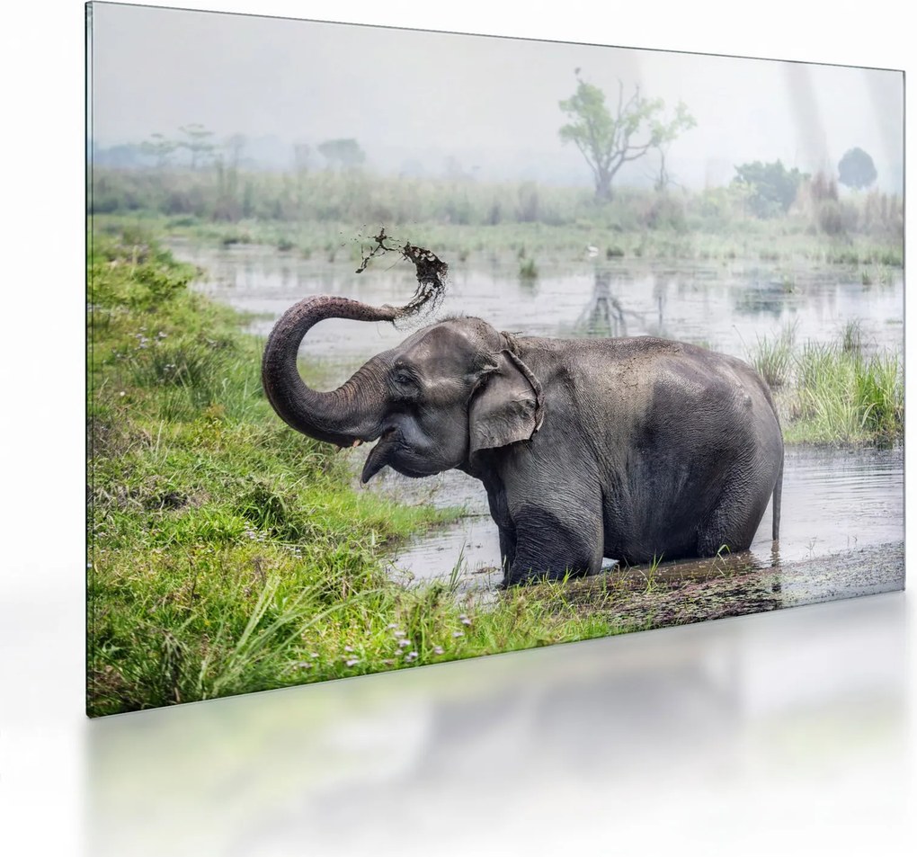 Tablou pe sticlă - Elefant de scăldat (70x50 cm)