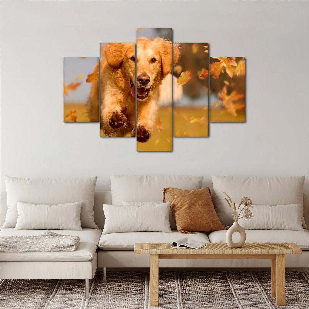 Tablou - Golden Retriever (150x105 cm)