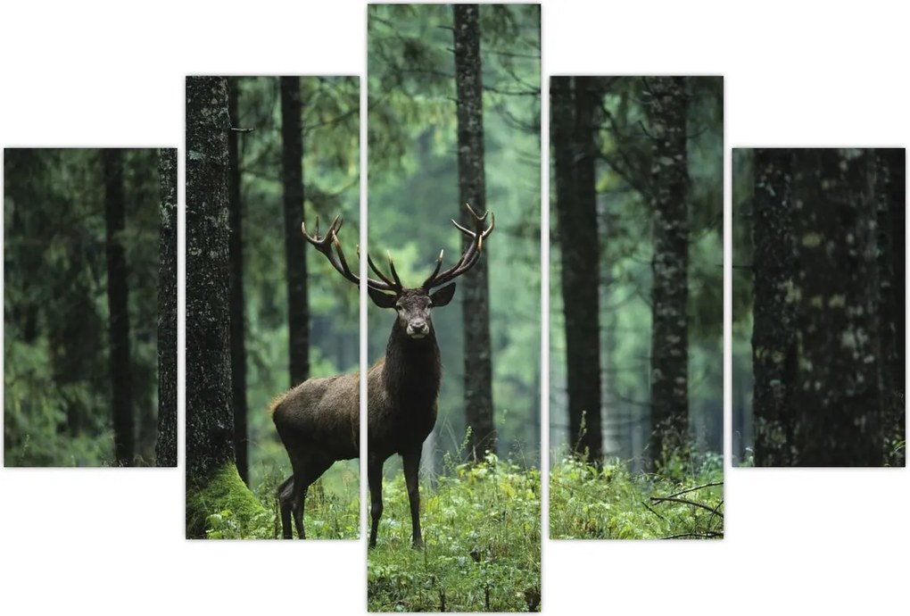 Tablou - Cerb în pădurea adâncă (150x105 cm)