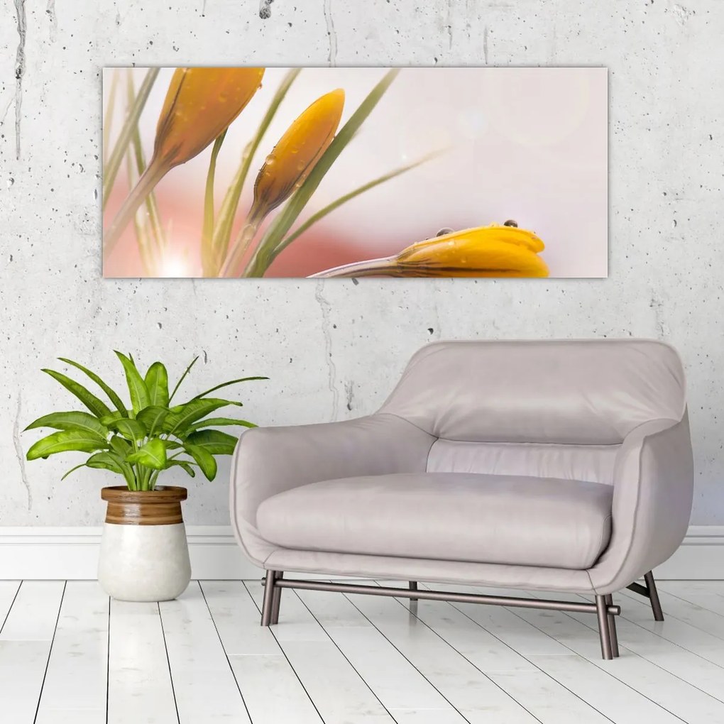 Tablou - Flori de primăvară (120x50 cm)