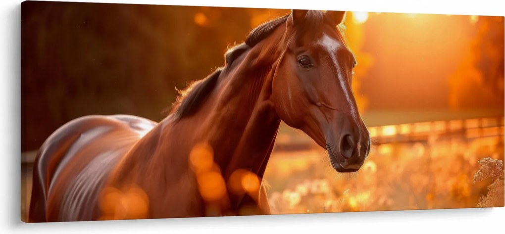 Tablou - Cal în apus de soare (120x50 cm)