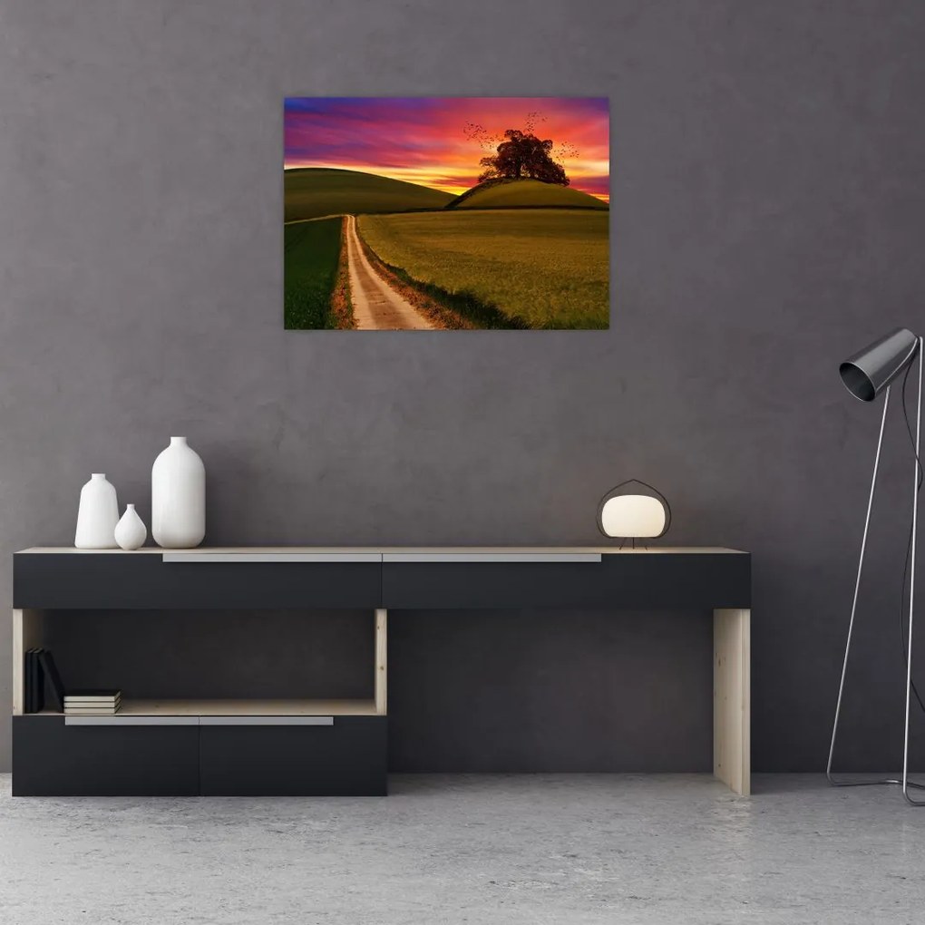 Tablou cu câmp și cerul colorat (70x50 cm)