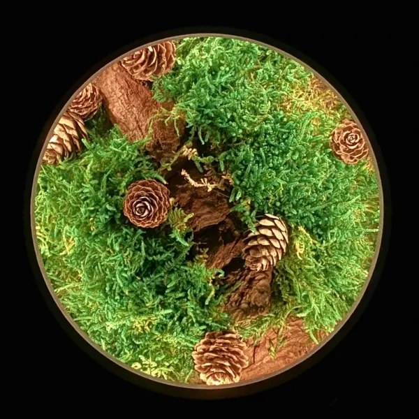 Li-Go 23654 - Decorațiune de masă LED reglabilă LED/12W/230V 20x22 cm mușchi