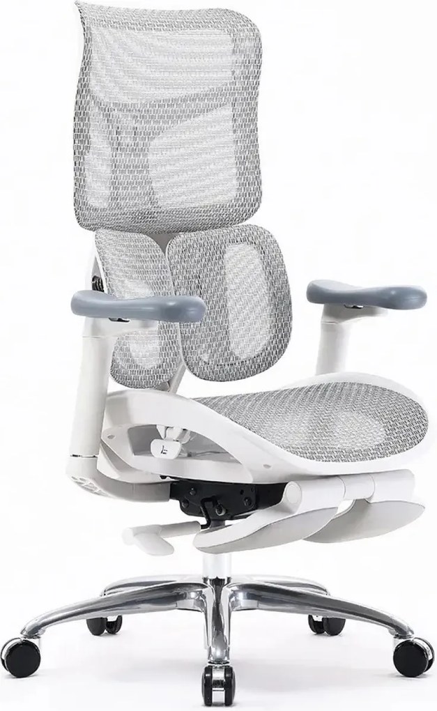Scaun ergonomic SIHOO S100, cotiere 4D ultra moi, suport lombar adaptiv, spătar reglabil pe inaltime, sezut cu translatie, mecanism multifunctional inclinare/blocare, suport picioare Dual, pivotant, Mesh, Gri
