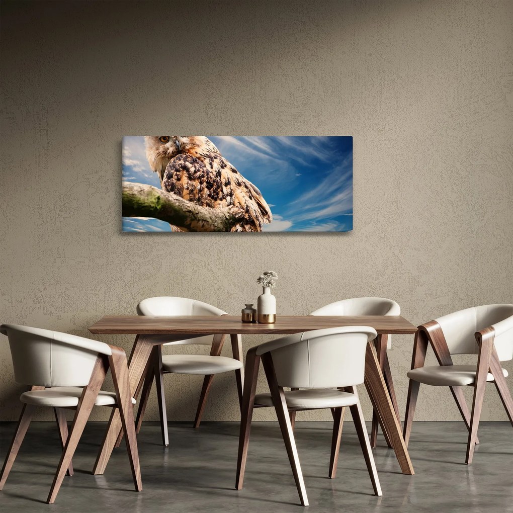 Tablou cu bufnița (120x50 cm)