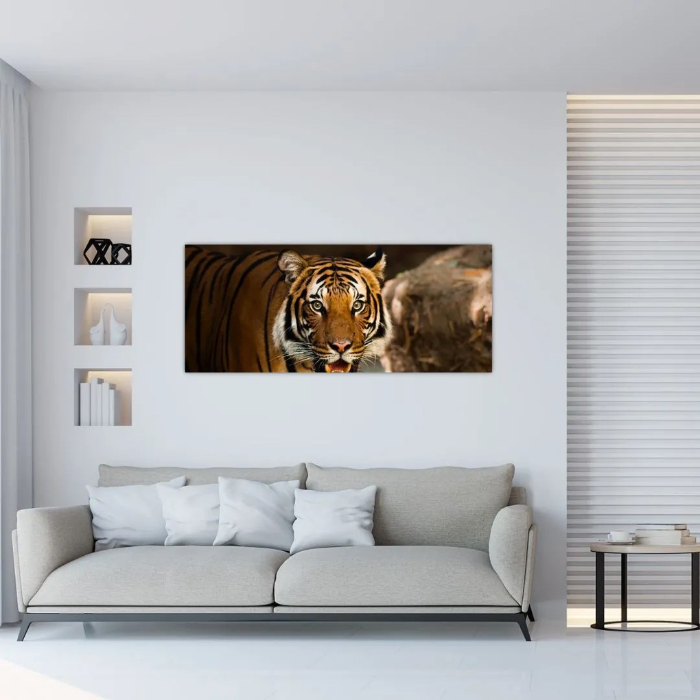 Tablou cu tigrul (120x50 cm)