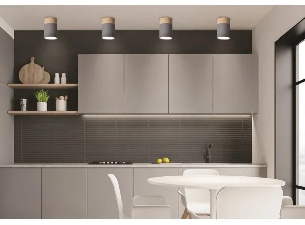 Plafonieră TUBA GU10/15W/230V