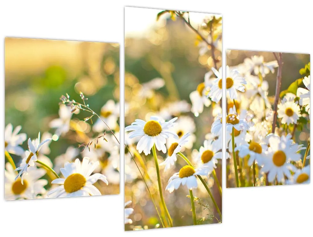 Tablou - Margarete (90x60 cm)