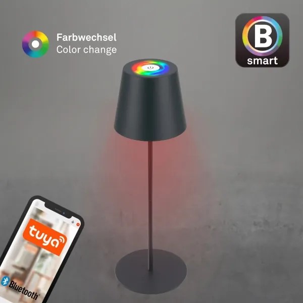 Briloner 7559015-LED Lampă de masă LED RGB COLORIS 3,5W/5V IP44 2000mAh Wi-Fi Tuya