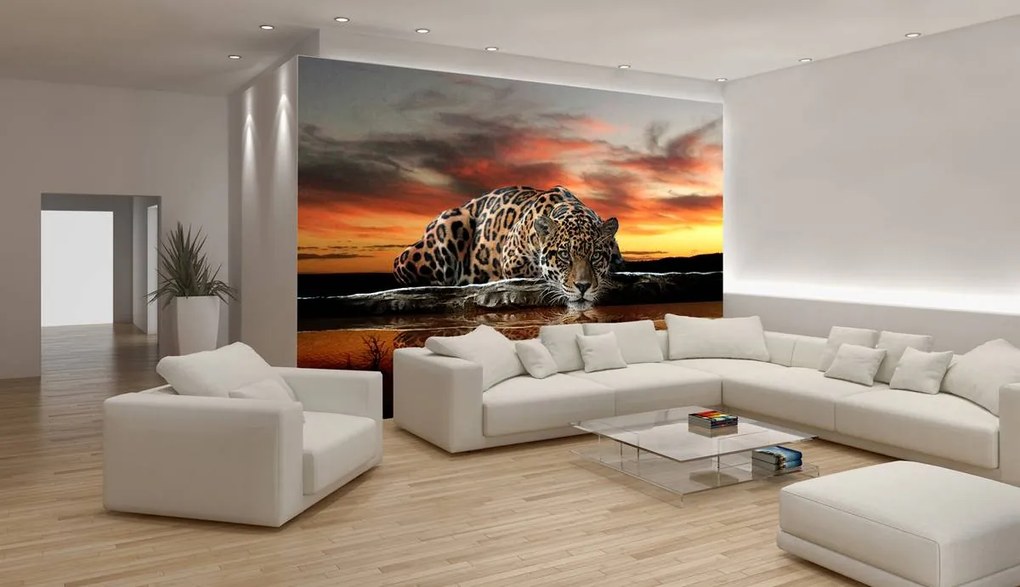 Fototapet - Jaguar (254x184 cm)