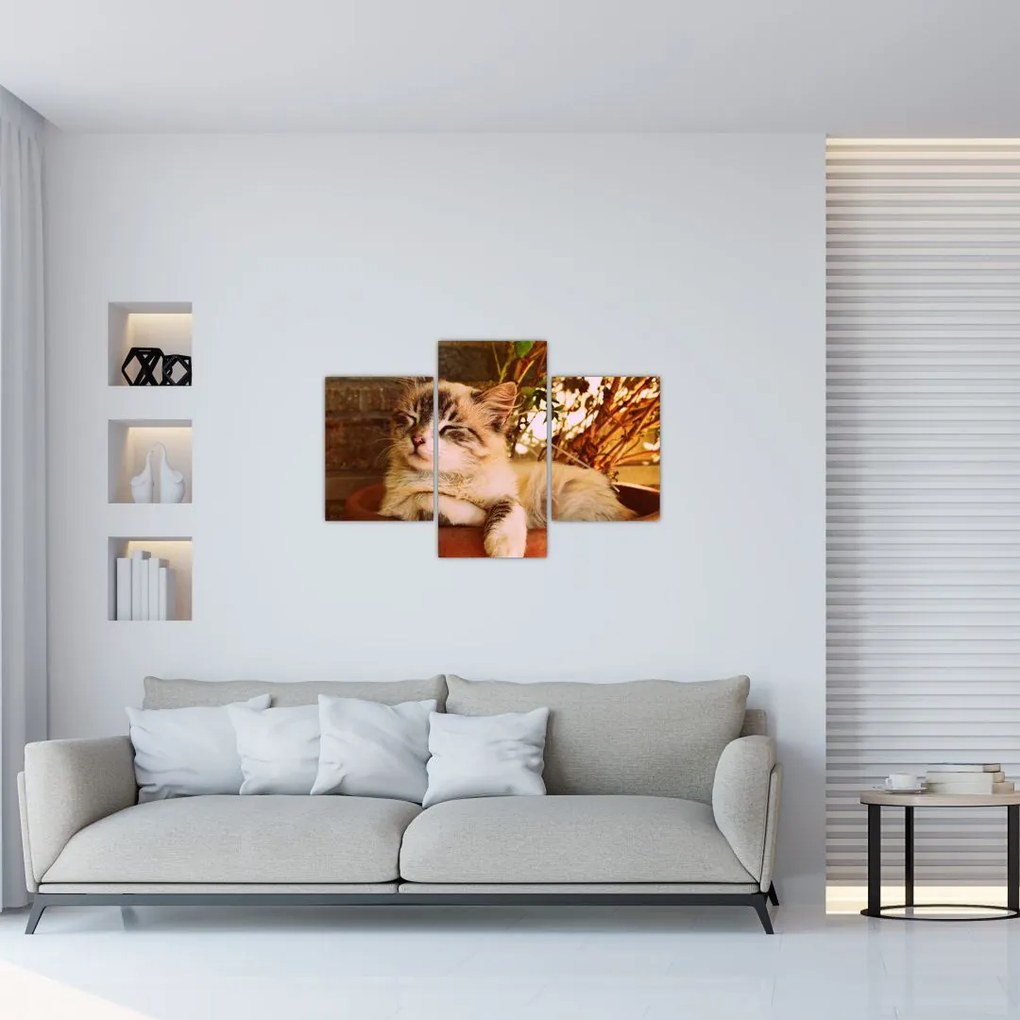 Tablou cu pisica în ghiveci (90x60 cm)
