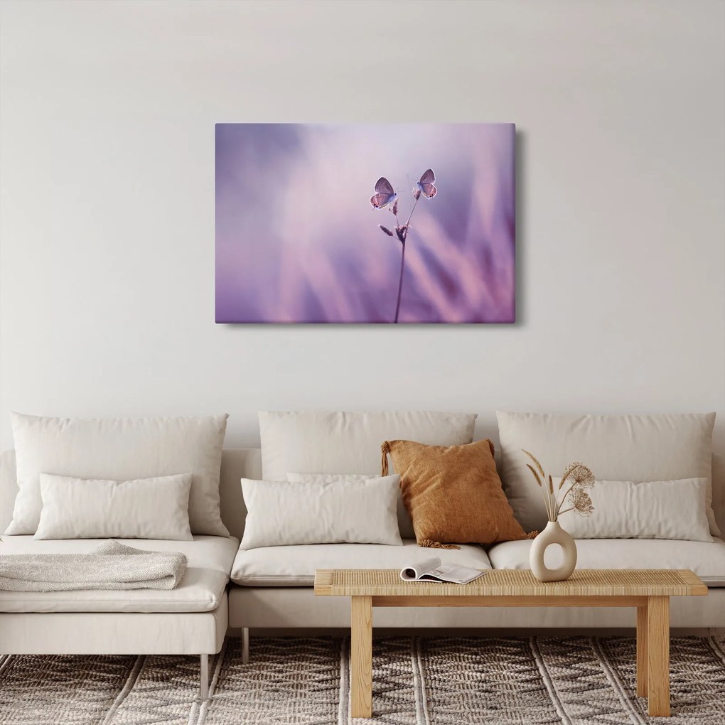 Tablou - Fluturi mov (90x60 cm)