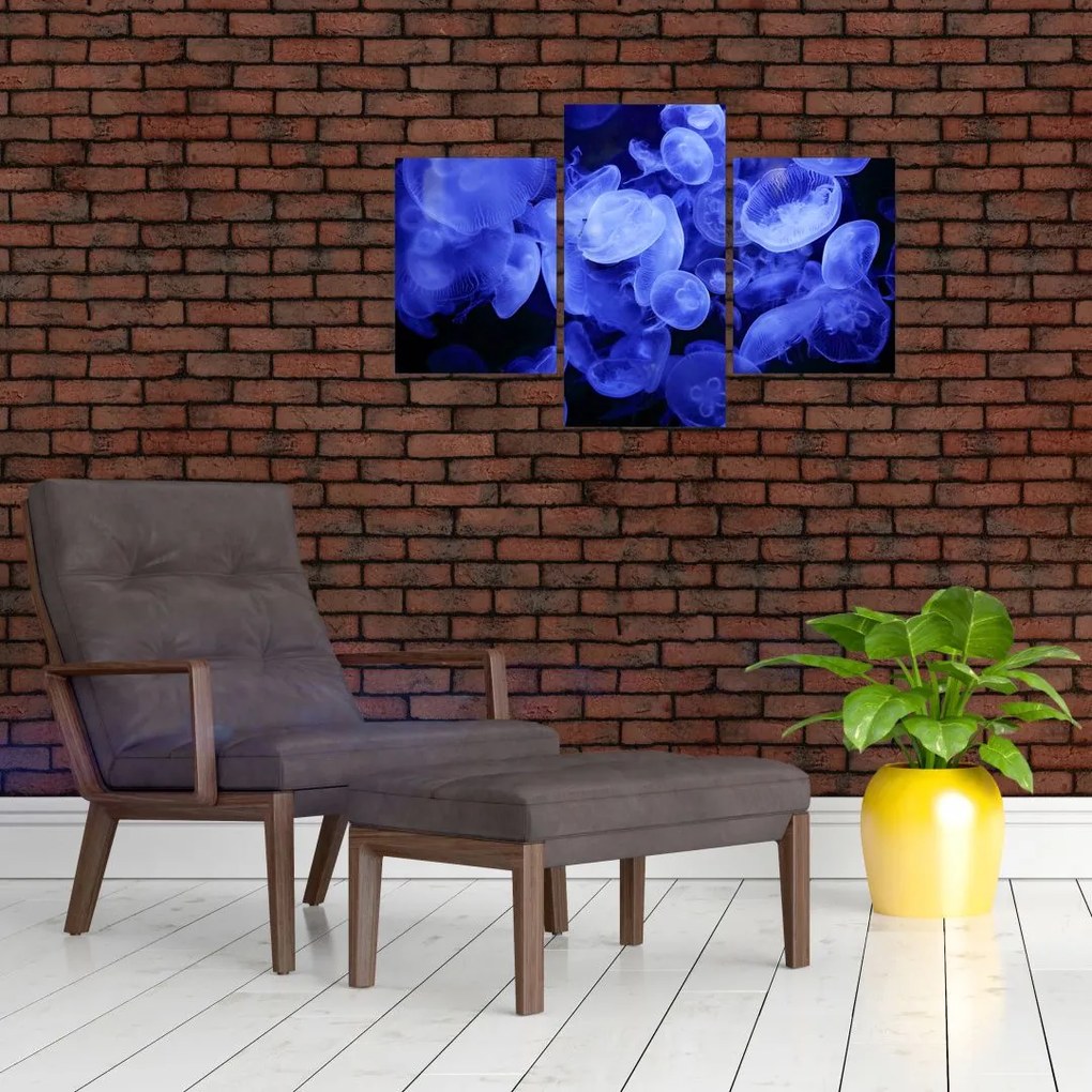 Tablou - Meduză (90x60 cm)