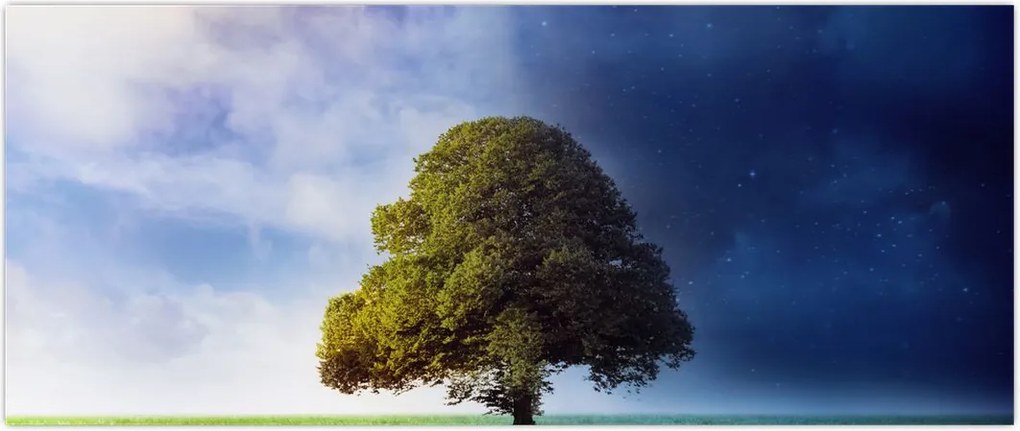 Tablou - Noapte și zi (120x50 cm)