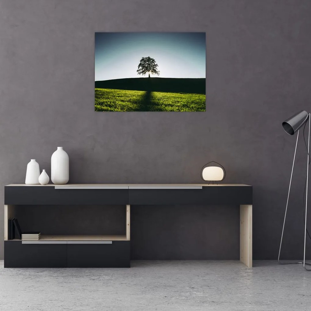 Tablou pe sticlă cu natura - copac (70x50 cm)