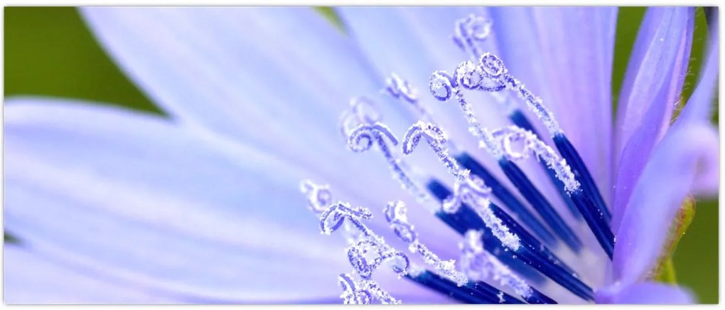 Tablou - Floare (120x50 cm)