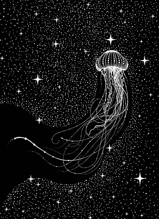 Ilustrație Starry Jellyfish, Aliriza Cakir