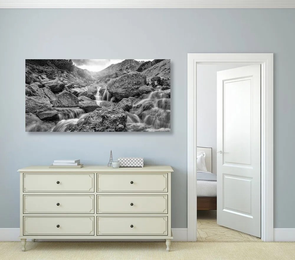 Tablou cascadele alpine în design alb-negru