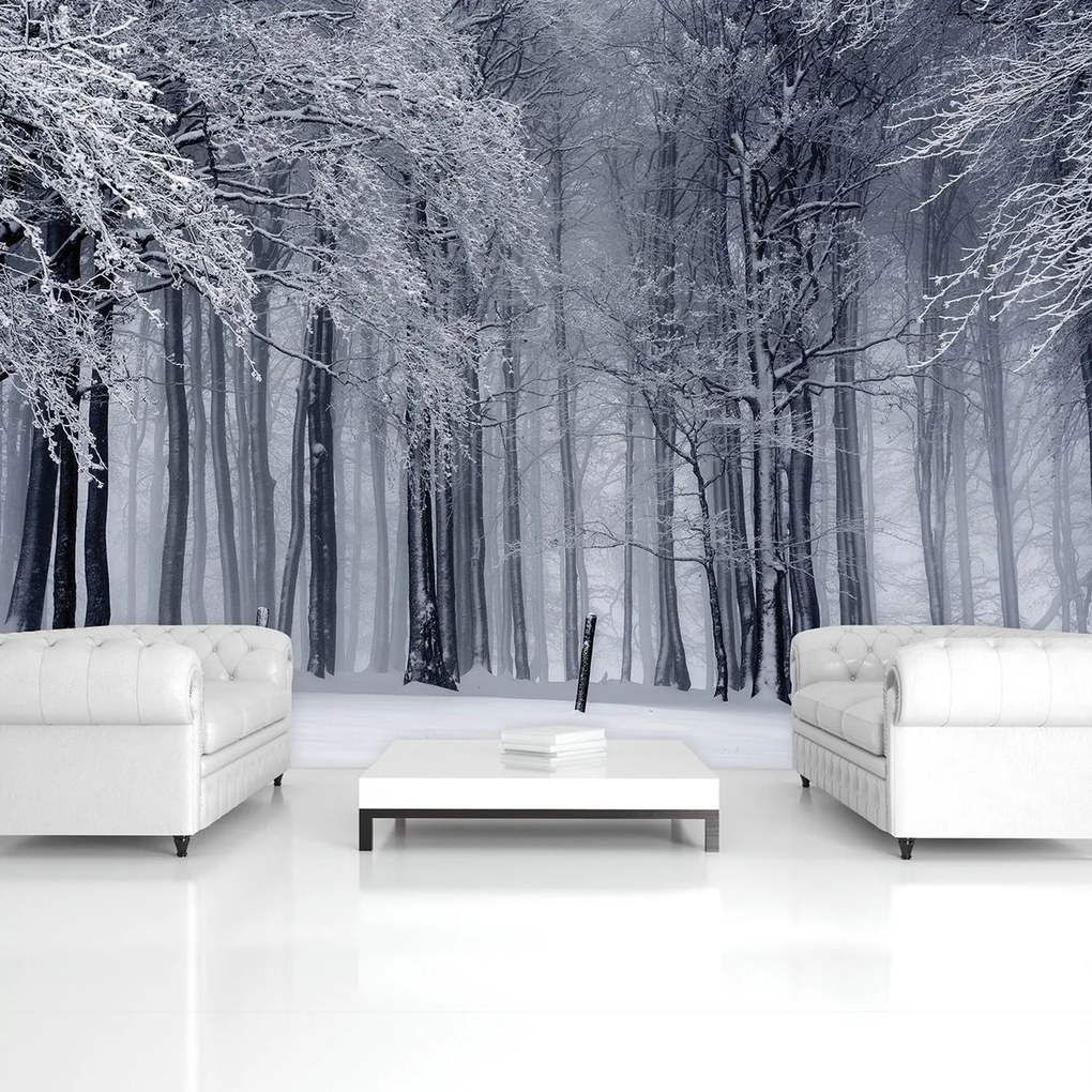 Fototapet - Iarna (152,5x104 cm)
