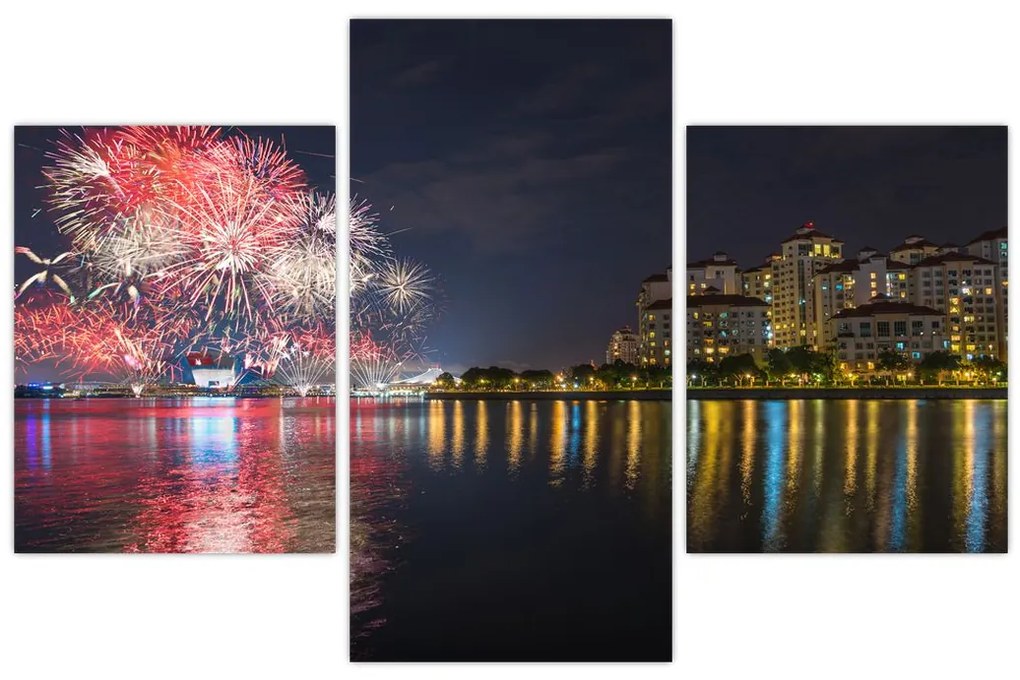 Tablou cu artificii in Singapur (90x60 cm)