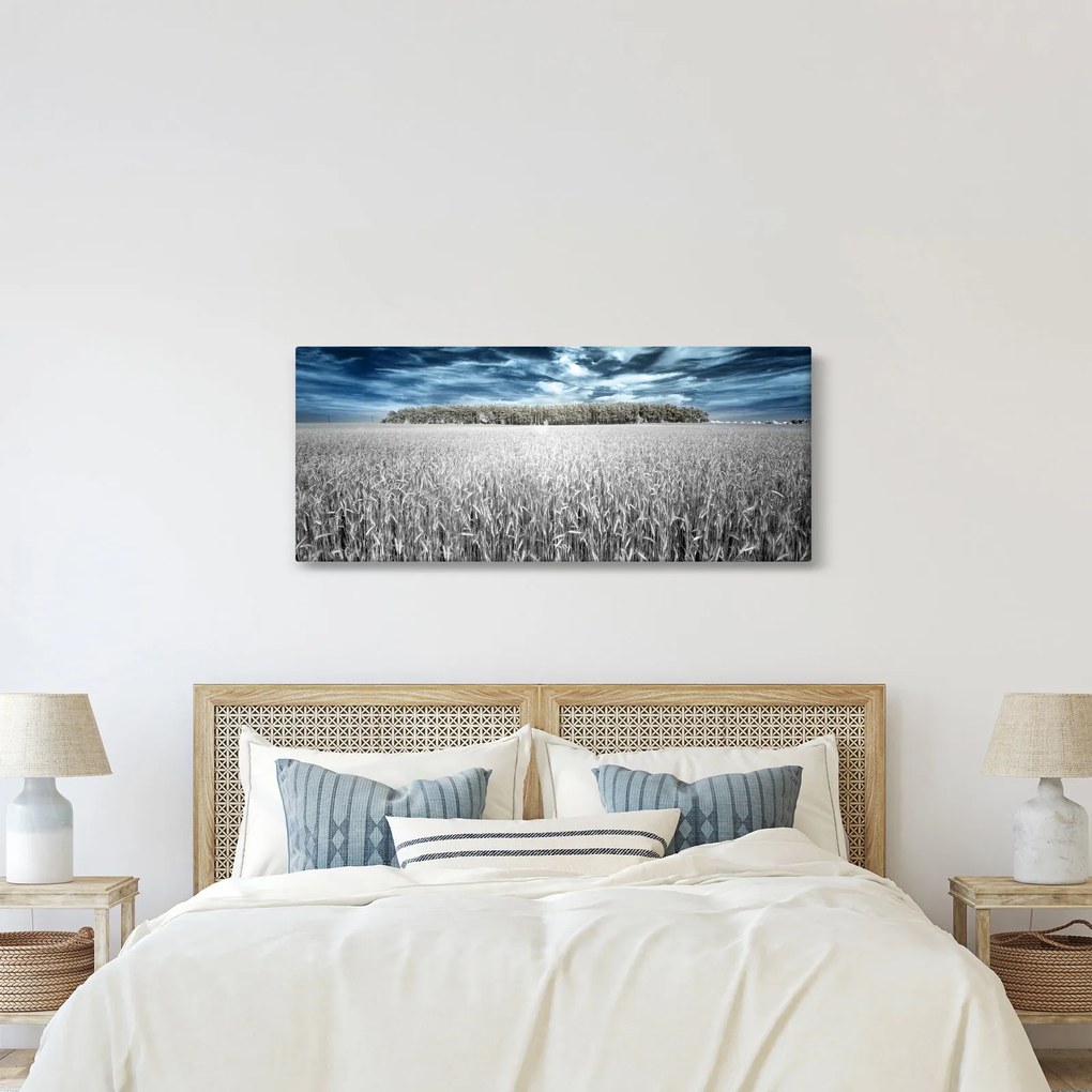 Tablou cu câmp (120x50 cm)