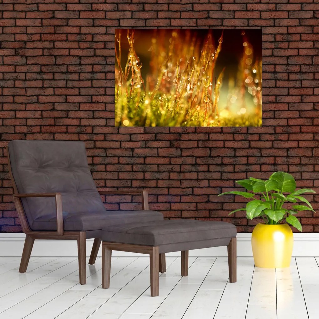 Tablou - Detaliu rouă (90x60 cm)