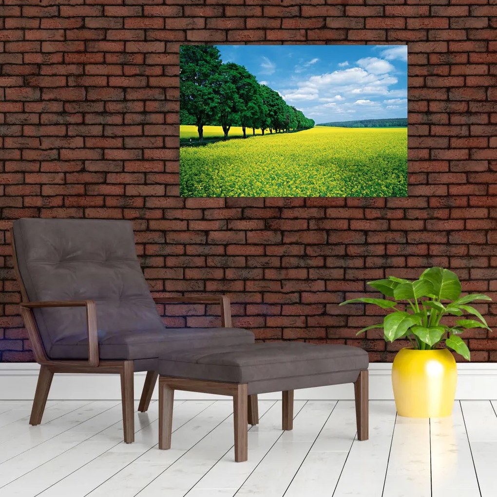 Tablou - Câmp cu alei (90x60 cm)