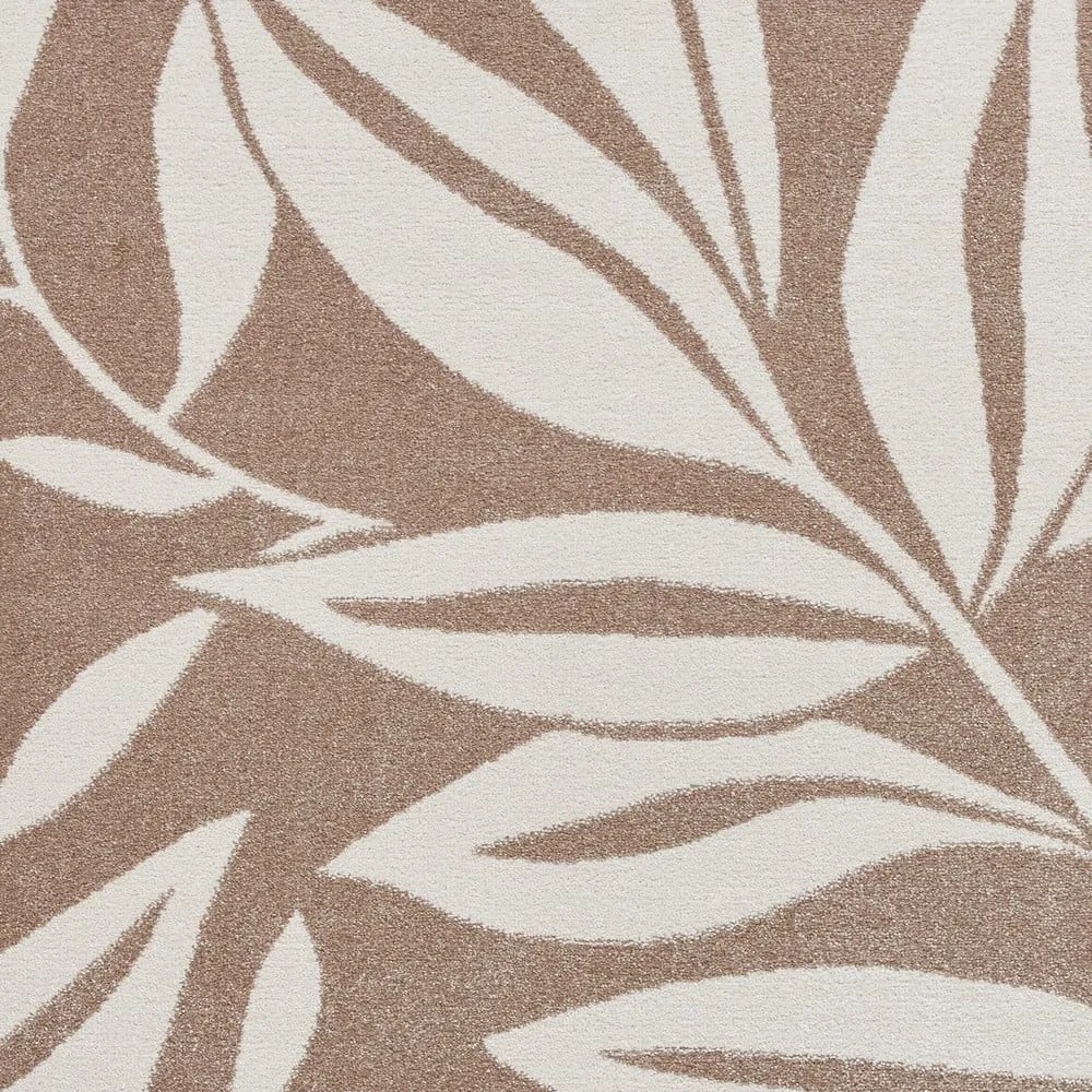 Covor maro deschis 120x170 cm Sorral Leaves – Catherine Lansfield