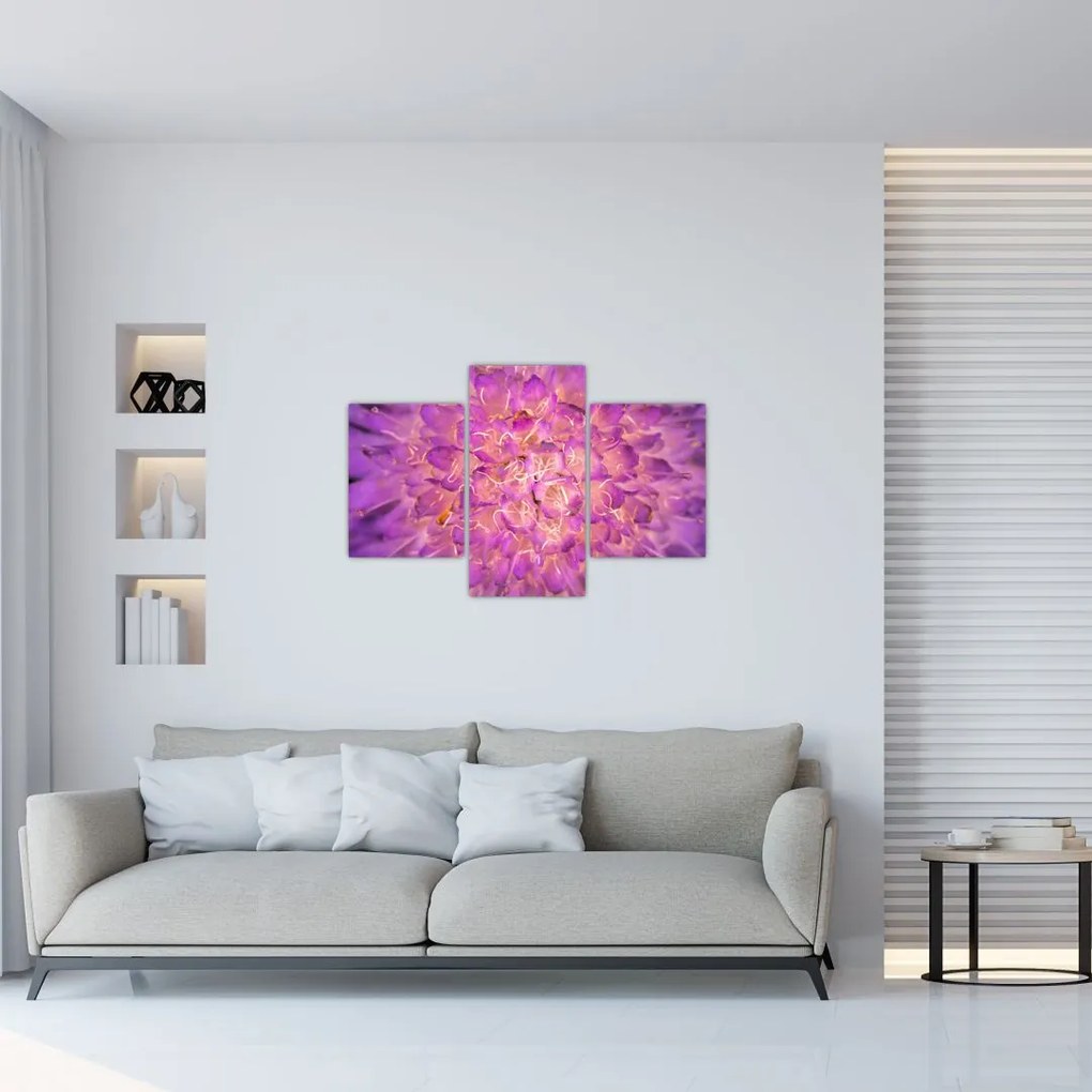 Tablou detailat cu floare (90x60 cm)