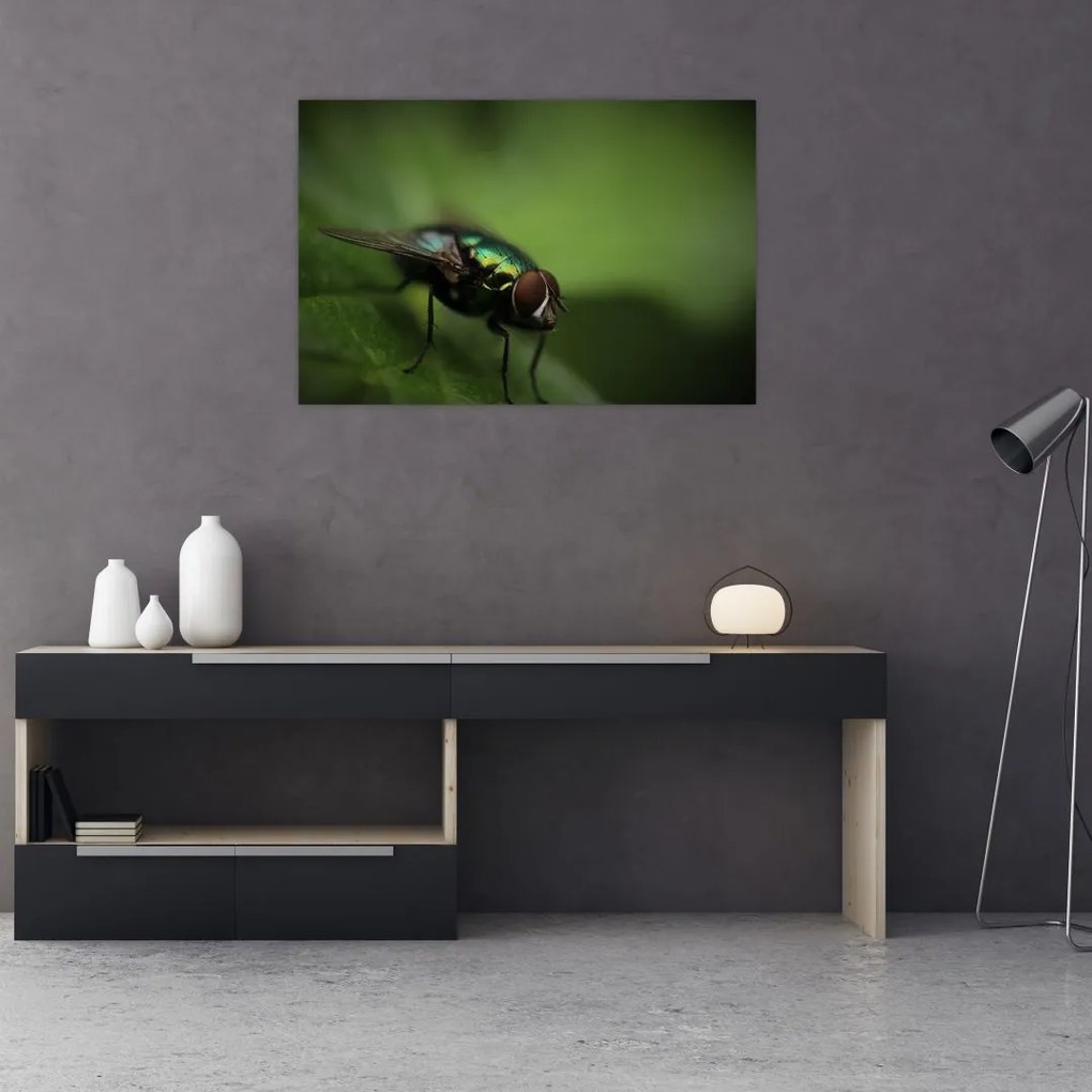 Tablou - Musca (90x60 cm)
