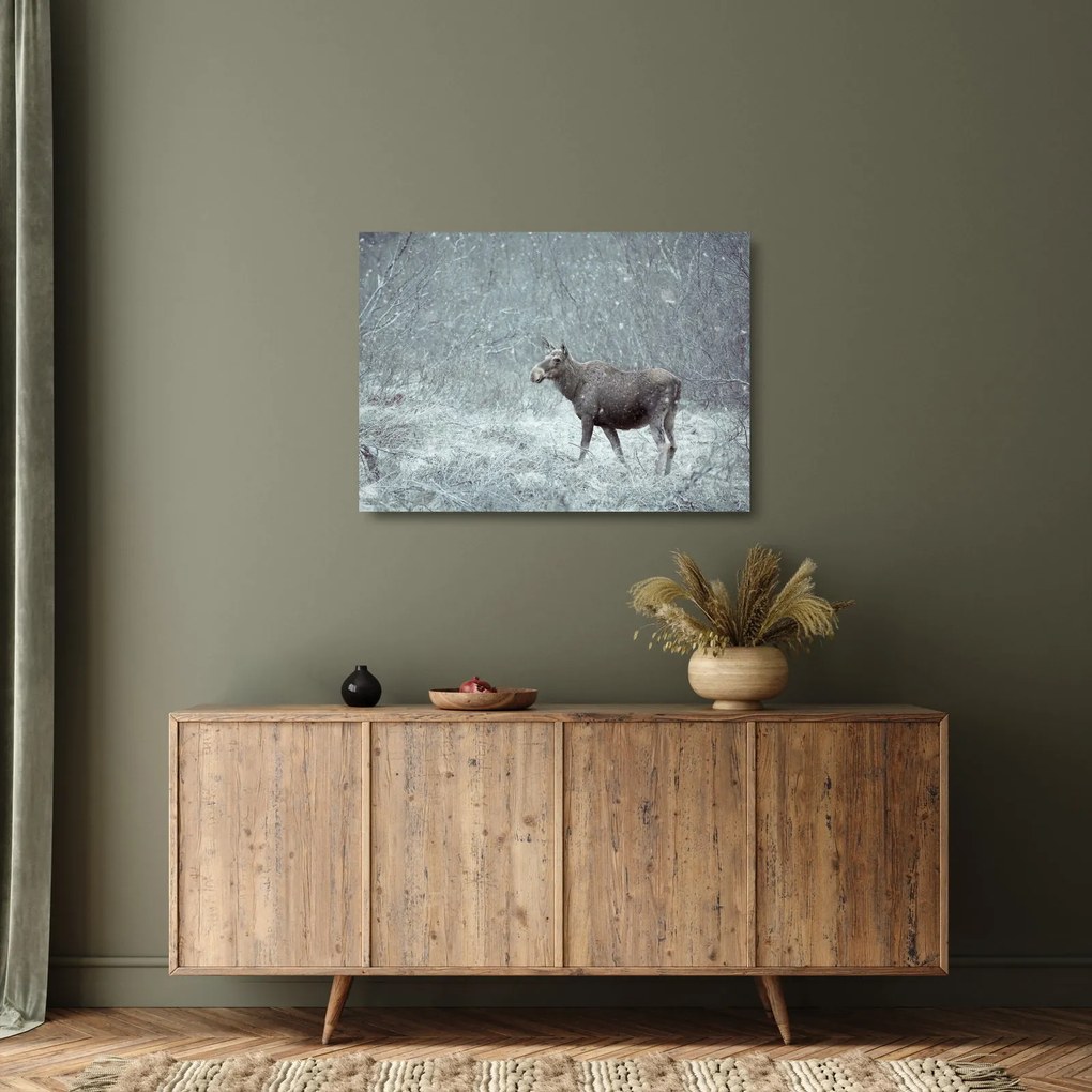 Tablou pe sticlă - Elan într-o pădure înzăpezită (70x50 cm)