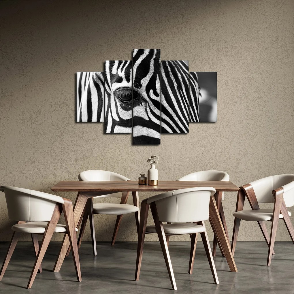 Tablou cu zebră (150x105 cm)