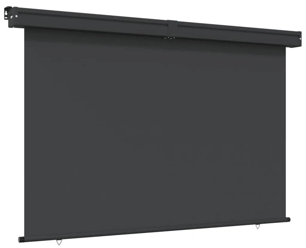 Copertina laterala de balcon, negru, 160x250 cm Negru, 160 x 250 cm