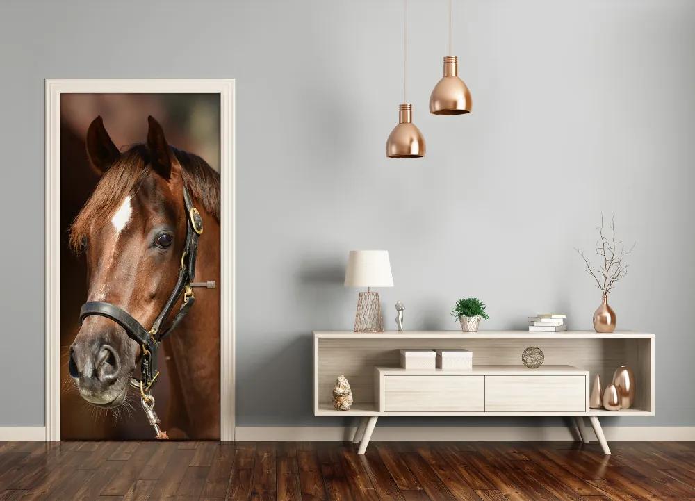 Autocolante pentru usi Portret de un cal