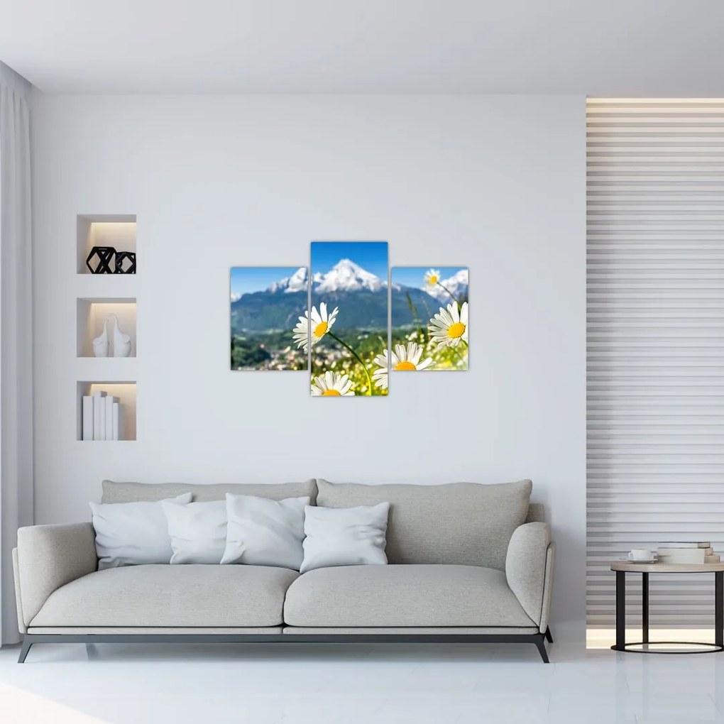 Tablou - Primăvara în Alpi (90x60 cm)