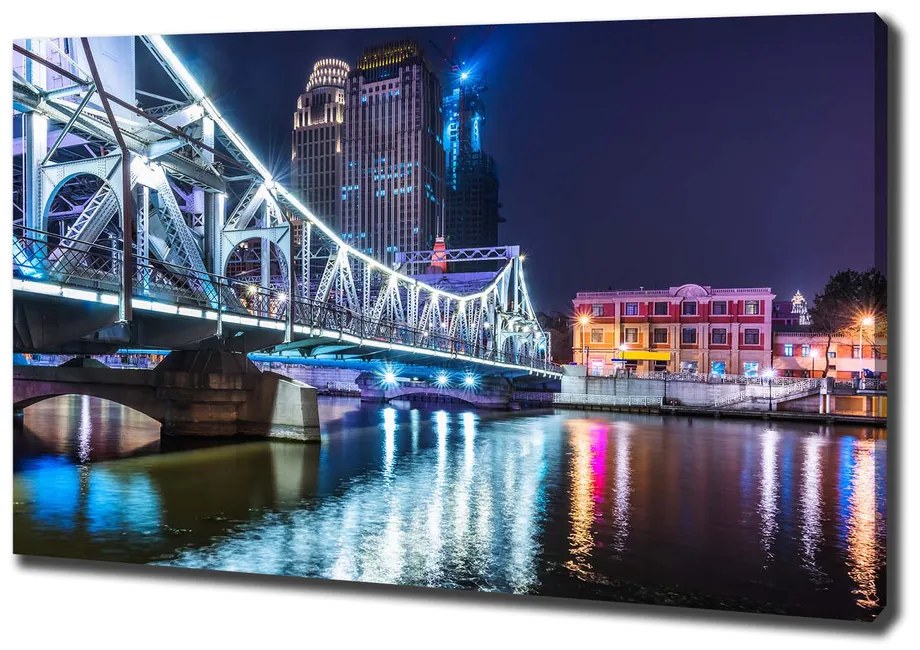 Tablou pe pânză canvas Shanghai pod